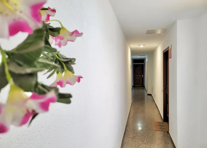 Apartment Plaza Del Charco