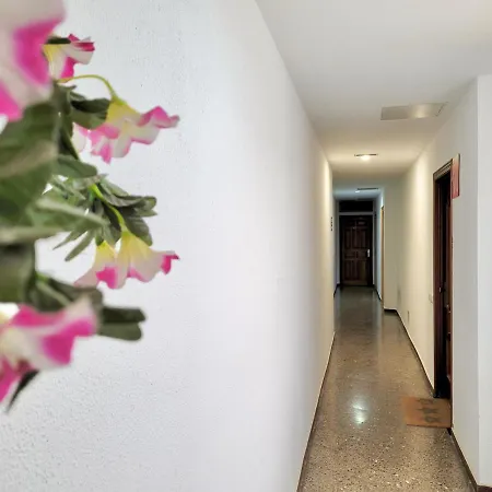 Appartement Plaza Del Charco